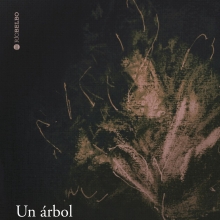 UN ARBOL PARA JHON BERGER Y OTRAS CRNICAS