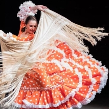 SESIONES FLAMENCAS
