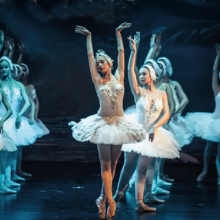 LAGO DE LOS CISNES Y PIEZAS MAESTRAS