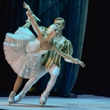 EL LAGO DE LOS CISNES