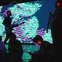 FESTIVAL NE:RD