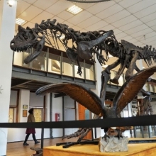 REAPERTURA MUSEO GALLARDO
