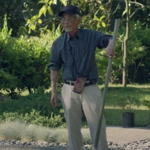 EL AMO DEL JARDÍN